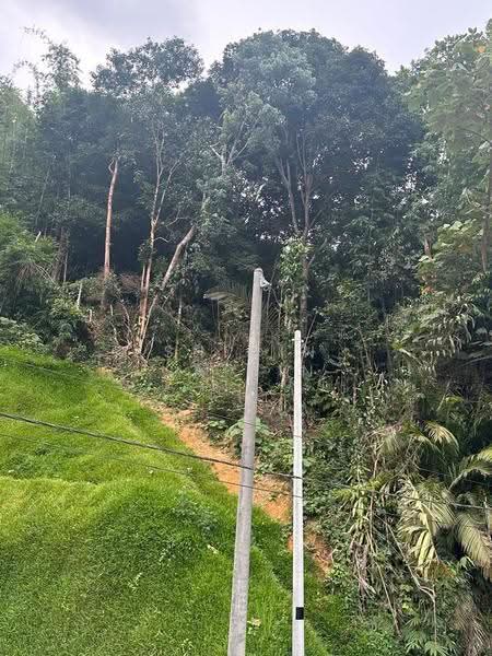 Tanah Pertanian untuk Dijual di Janda Baik (Bentong) - Shiqin Saidin - Exterior - PropertyGuru.com.my