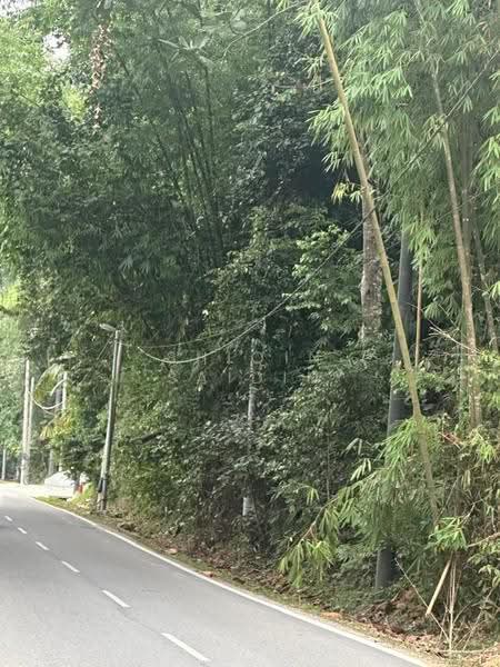 Tanah Pertanian untuk Dijual di Janda Baik (Bentong) - Shiqin Saidin - PropertyGuru.com.my
