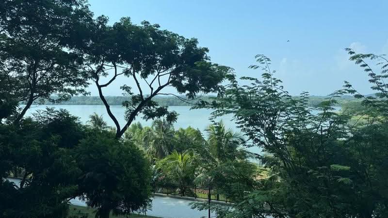 Service Residence for Rent at Forest City - Alvin Seah - View - PropertyGuru.com.my