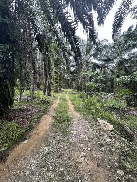 Agricultural Land for Sale in Kangkar Pulai (Skudai) - Ah Liang - Exterior - PropertyGuru.com.my