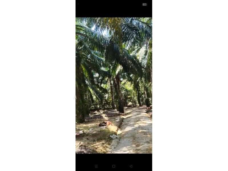 Agricultural Land for Sale in Kangkar Pulai (Skudai) - Ah Liang - Exterior - PropertyGuru.com.my