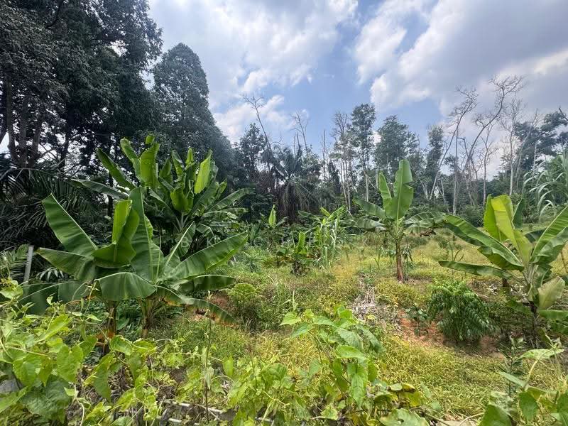 Residential Land for Sale in Skudai (Johor) - BK Cheok - Exterior - PropertyGuru.com.my