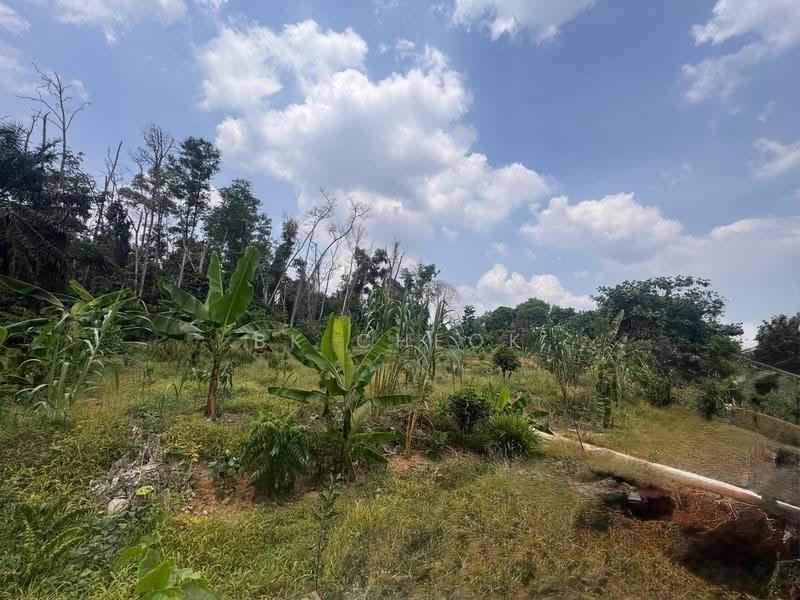 Residential Land for Sale in Skudai (Johor) - BK Cheok - Exterior - PropertyGuru.com.my