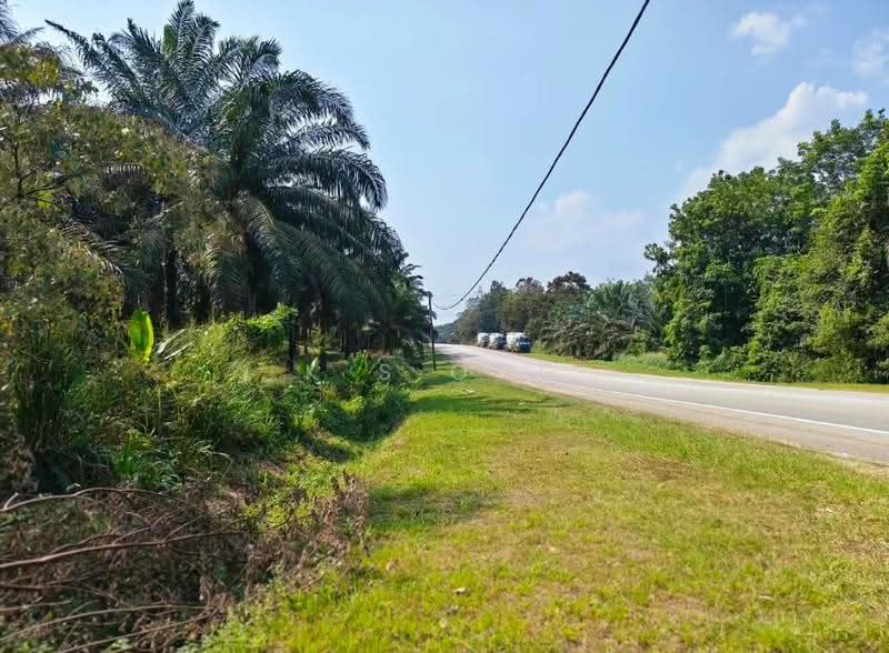 Agricultural Land for Sale in Yong Peng (Johor) - K S Ong - Exterior - PropertyGuru.com.my