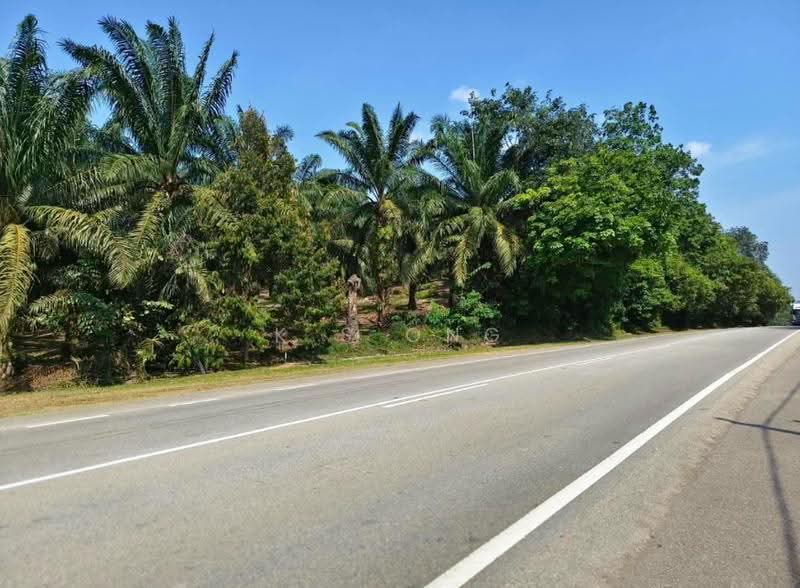 Agricultural Land for Sale in Yong Peng (Johor) - K S Ong - Exterior - PropertyGuru.com.my