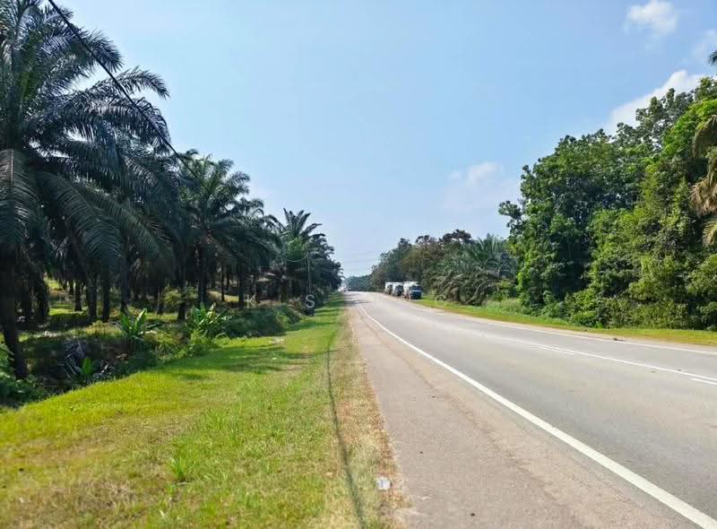 Agricultural Land for Sale in Yong Peng (Johor) - K S Ong - Exterior - PropertyGuru.com.my