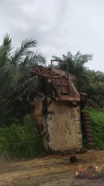 Tanah Pertanian untuk Dijual di Jeli (Kelantan) - Gerald Ng - Exterior - PropertyGuru.com.my