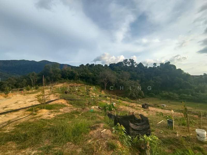 Tanah Kediaman untuk Dijual di Bandar Baru Ampangan (Seremban) - Olivia Ching - Exterior - PropertyGuru.com.my