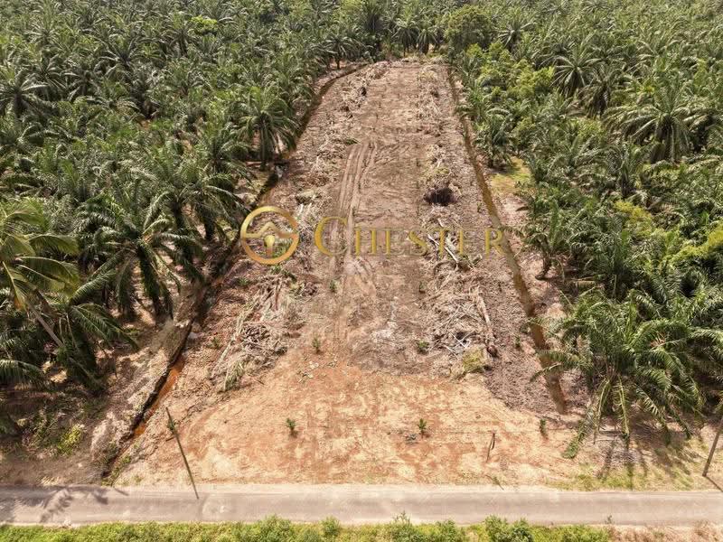 Agricultural Land for Sale in Tongkang Pechah (Batu Pahat) - ZG Law - PropertyGuru.com.my