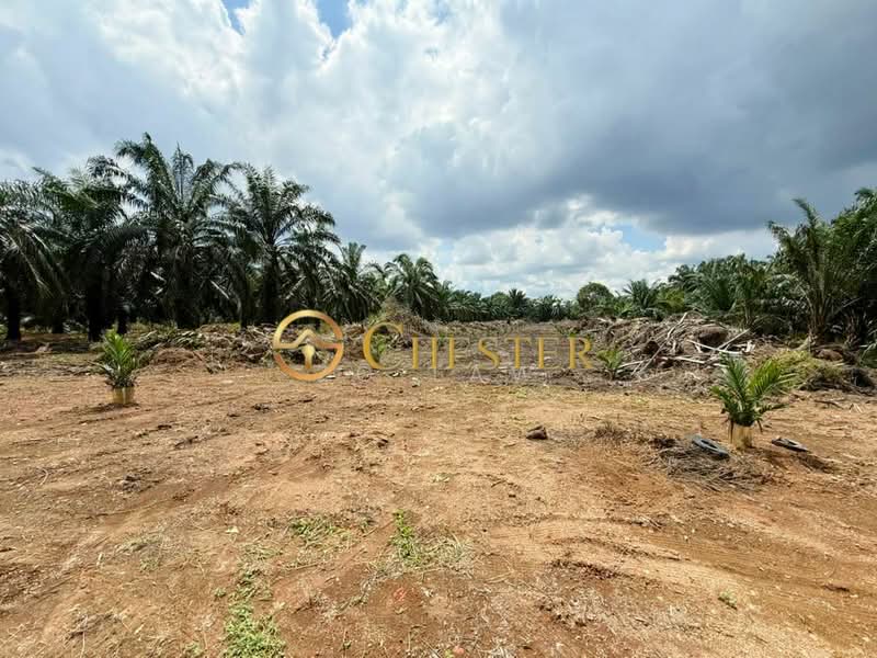 Agricultural Land for Sale in Tongkang Pechah (Batu Pahat) - ZG Law - PropertyGuru.com.my