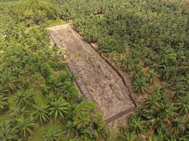 Agricultural Land for Sale in Tongkang Pechah (Batu Pahat) - ZG Law - PropertyGuru.com.my