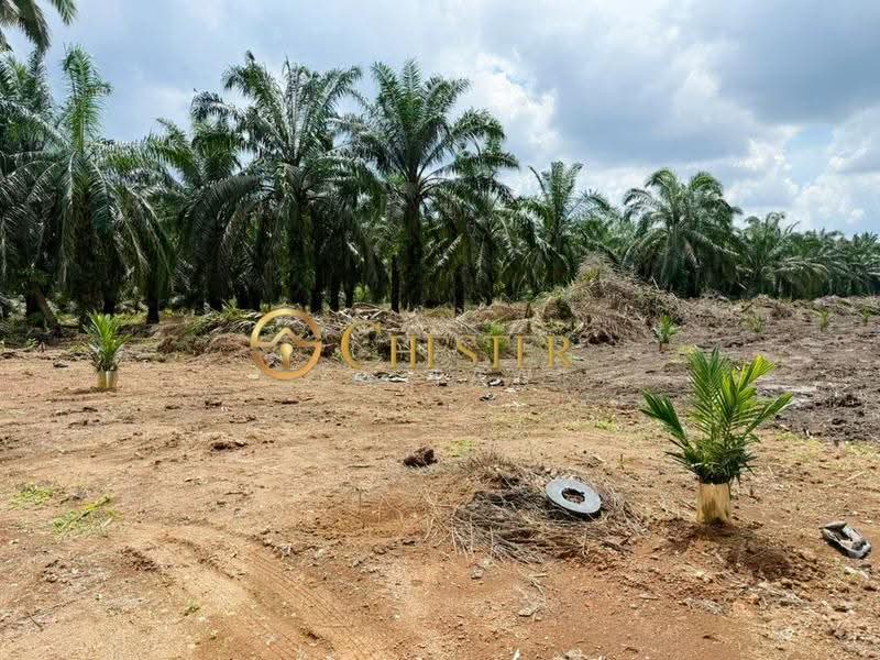 Agricultural Land for Sale in Tongkang Pechah (Batu Pahat) - ZG Law - PropertyGuru.com.my