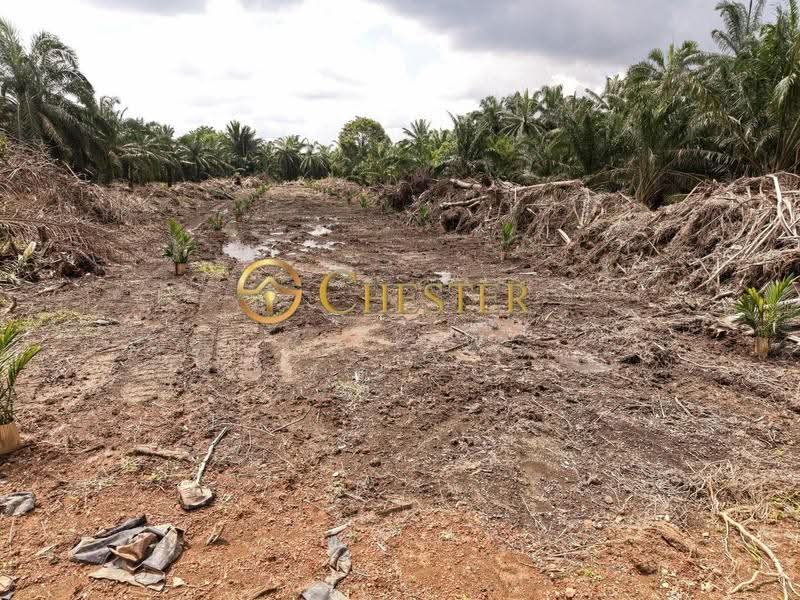 Agricultural Land for Sale in Tongkang Pechah (Batu Pahat) - ZG Law - PropertyGuru.com.my