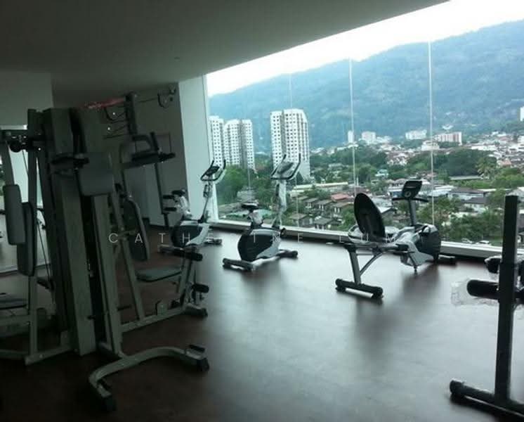 Kondominium untuk Dijual di Shineville Park - Catherine Lum - Gym - PropertyGuru.com.my
