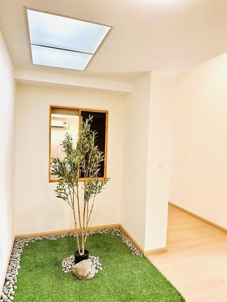 1-storey Terraced House for Rent in Fettes Park (Tanjung Tokong) - Elwin Leong - Garden - PropertyGuru.com.my