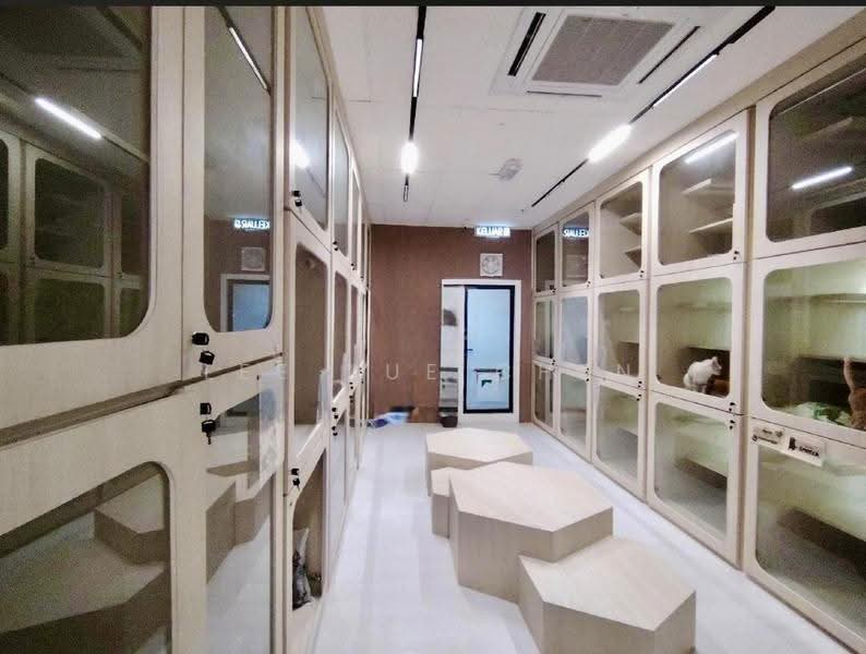 Kedai untuk Dijual di George Town (Penang) - Lee Xue Chen - Interior - PropertyGuru.com.my