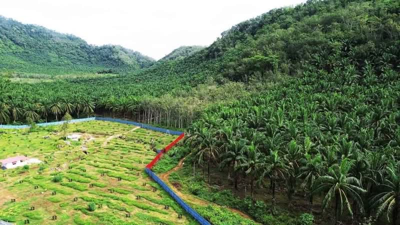 Agricultural Land for Sale in Sungai Siput (Perak) - Ivan Tai - PropertyGuru.com.my