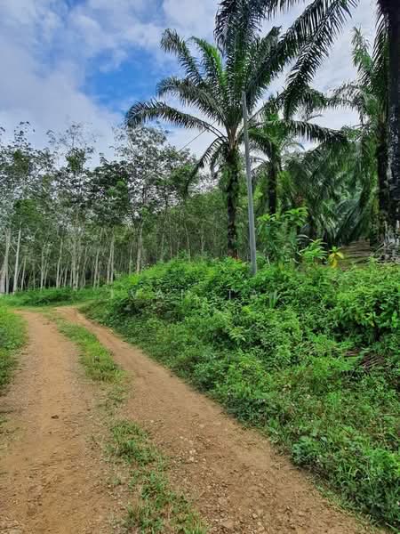 Agricultural Land for Sale in Sungai Siput (Perak) - Ivan Tai - PropertyGuru.com.my