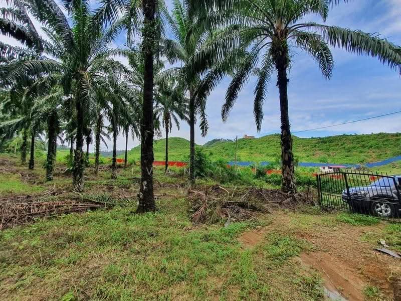 Agricultural Land for Sale in Sungai Siput (Perak) - Ivan Tai - PropertyGuru.com.my