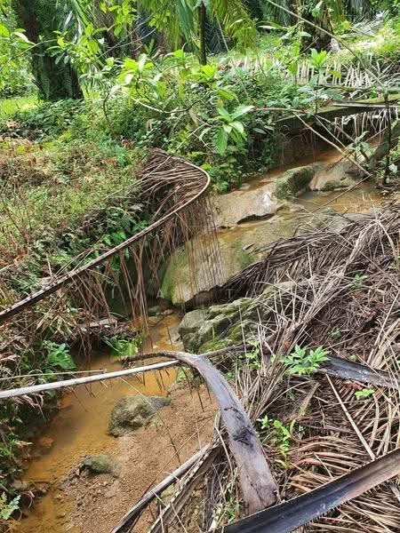 Agricultural Land for Sale in Sungai Siput (Perak) - Ivan Tai - PropertyGuru.com.my
