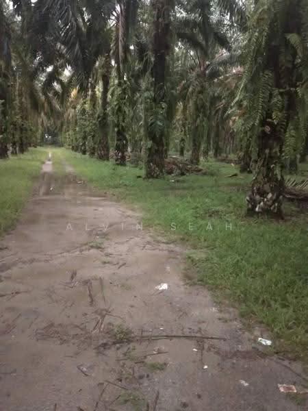 Agricultural Land for Sale in Batang Berjuntai (Selangor) - Alvin Seah - Exterior - PropertyGuru.com.my
