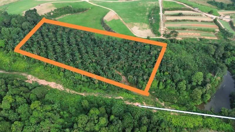 Tanah Pertanian untuk Dijual di Kampung Melayu Seelong Selatan (Senai) - Iqbal Rafei - PropertyGuru.com.my