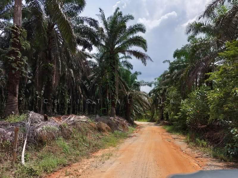 Tanah Pertanian untuk Dijual di Kota Tinggi (Johor) - Christine Cham - Exterior - PropertyGuru.com.my
