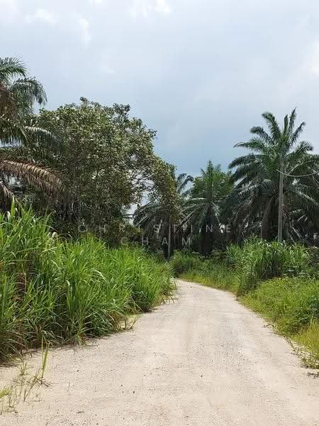 Tanah Pertanian untuk Dijual di Kota Tinggi (Johor) - Christine Cham - Exterior - PropertyGuru.com.my