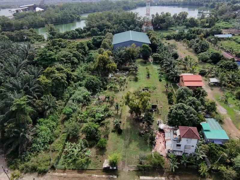 Tanah Pertanian untuk Dijual di Dengkil (Selangor) - Janie Wai - Exterior - PropertyGuru.com.my