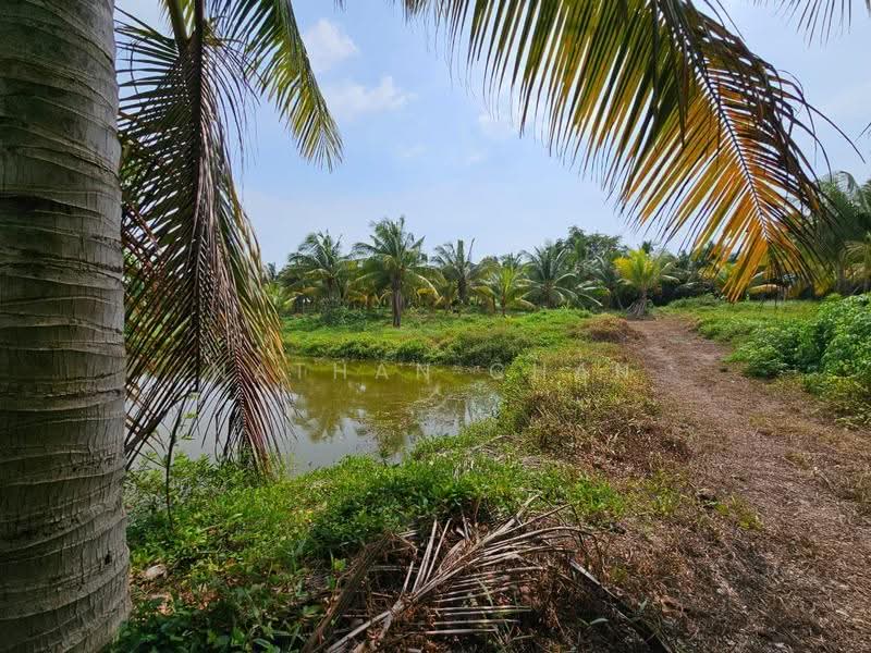 Agricultural Land for Sale in Kota Tinggi (Johor) - Nathan Chan - Garden - PropertyGuru.com.my