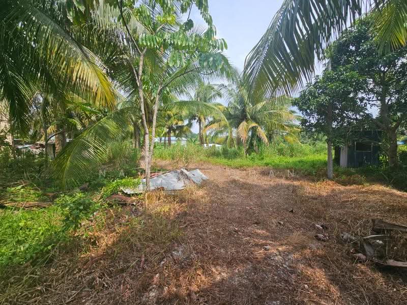 Agricultural Land for Sale in Kota Tinggi (Johor) - Nathan Chan - Exterior - PropertyGuru.com.my
