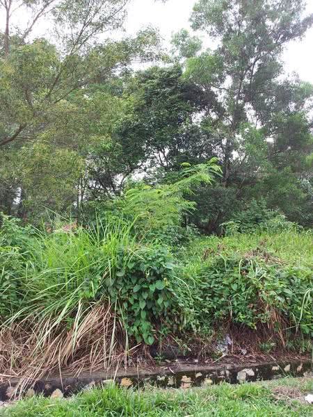 Tanah Kediaman untuk Dijual di Taman Overseas Union (Taman Oug) (Jalan Klang Lama (Old Klang Road)) - Mathilda Ng - Taman Yarl, Bukit OUG, Kuala Lumpur. - PropertyGuru.com.my