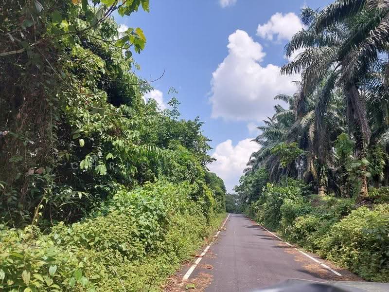 Tanah Kediaman untuk Dijual di Kota Tinggi (Kota Tinggi) - Christine Cham - Exterior - PropertyGuru.com.my