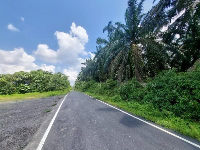 Tanah Kediaman untuk Dijual di Kota Tinggi (Kota Tinggi) - Christine Cham - Exterior - PropertyGuru.com.my