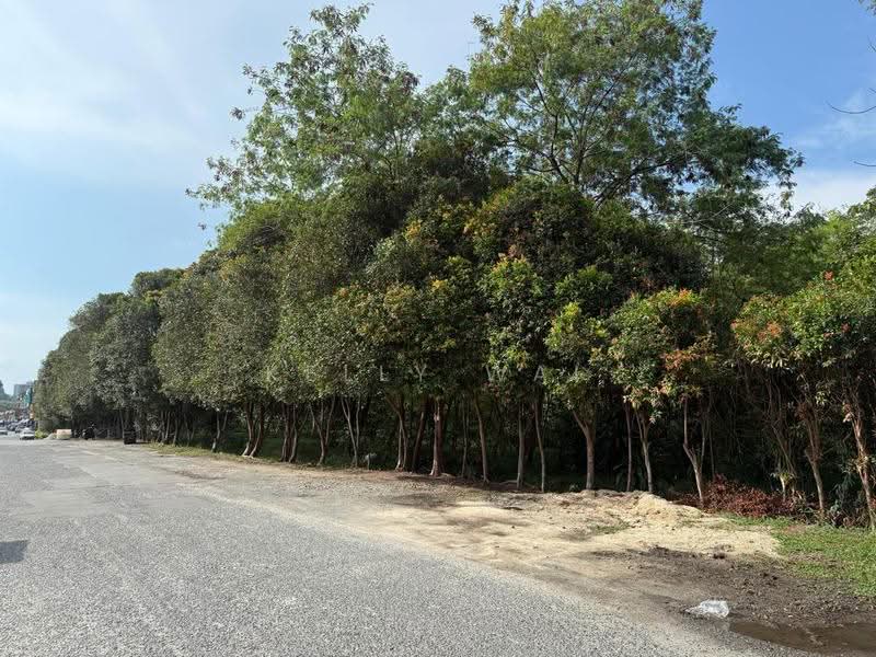 Commercial Land for Sale in Kulai (Johor) - Kelly Wai - Exterior - PropertyGuru.com.my