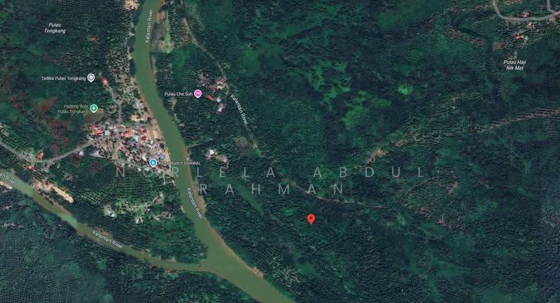 Tanah Pertanian untuk Dijual di Tumpat (Kelantan) - Norlela Abdul Rahman - Exterior - PropertyGuru.com.my