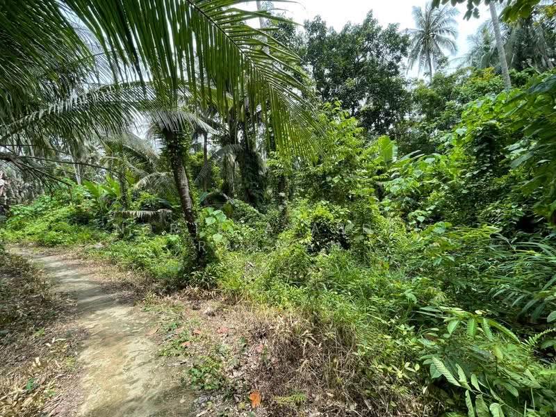 Tanah Pertanian untuk Dijual di Tumpat (Kelantan) - Norlela Abdul Rahman - Exterior - PropertyGuru.com.my