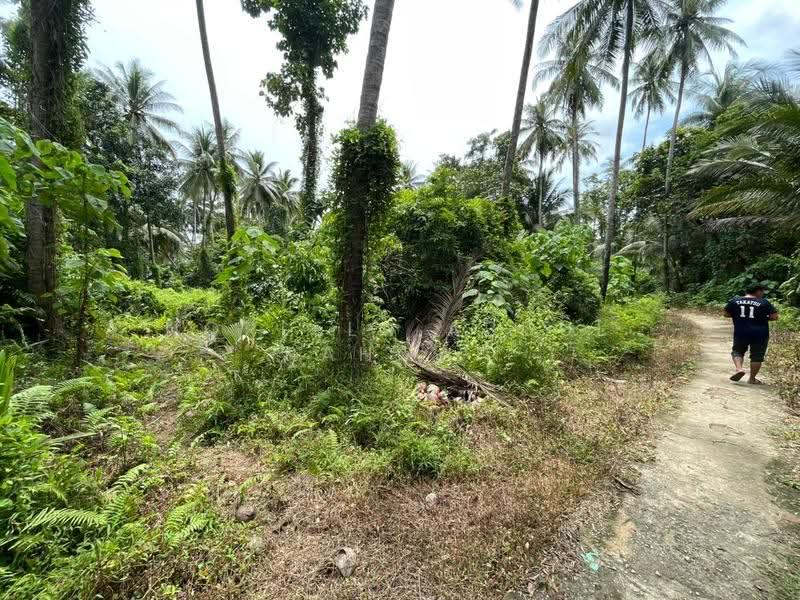Tanah Pertanian untuk Dijual di Tumpat (Kelantan) - Norlela Abdul Rahman - Exterior - PropertyGuru.com.my