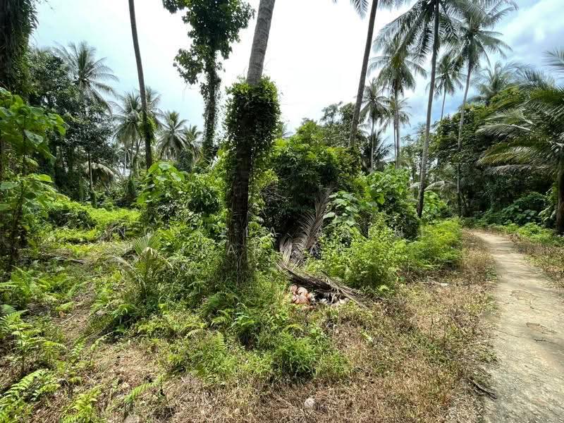 Tanah Pertanian untuk Dijual di Tumpat (Kelantan) - Norlela Abdul Rahman - Exterior - PropertyGuru.com.my