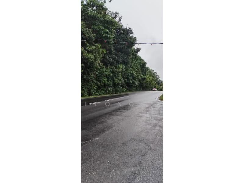Tanah Pertanian untuk Disewa di Pinang Tunggal (Kedah) - Leong . - Exterior - PropertyGuru.com.my