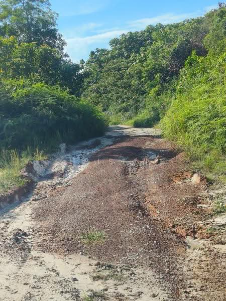 Tanah Pertanian untuk Dijual di Kota Tinggi (Kota Tinggi) - Christine Cham - Exterior - PropertyGuru.com.my