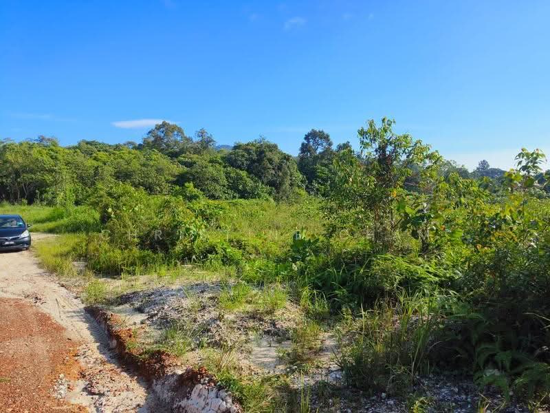Tanah Pertanian untuk Dijual di Kota Tinggi (Kota Tinggi) - Christine Cham - Exterior - PropertyGuru.com.my
