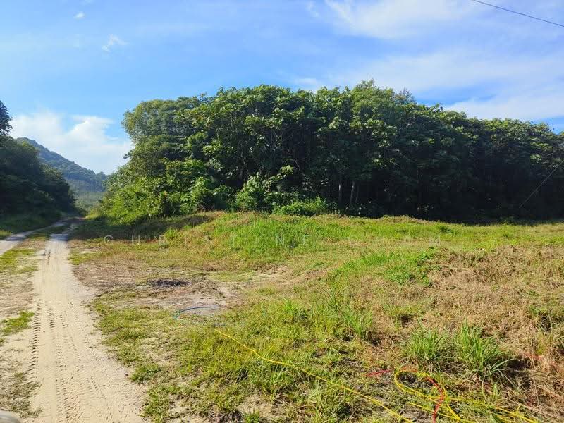 Tanah Pertanian untuk Dijual di Kota Tinggi (Kota Tinggi) - Christine Cham - Exterior - PropertyGuru.com.my