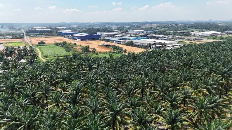 Tanah Pertanian untuk Dijual di Senai (Johor) - Kelly Wai - Exterior - PropertyGuru.com.my