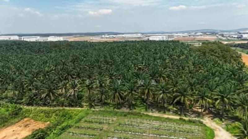 Tanah Pertanian untuk Dijual di Senai (Johor) - Kelly Wai - Exterior - PropertyGuru.com.my