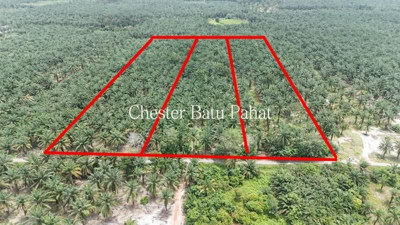 Tanah Pertanian untuk Dijual di Kampung Bindu (Batu Pahat) - ZG Law - Exterior - PropertyGuru.com.my