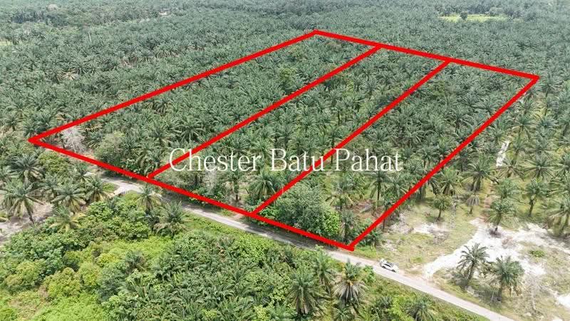 Tanah Pertanian untuk Dijual di Kampung Bindu (Batu Pahat) - ZG Law - Exterior - PropertyGuru.com.my