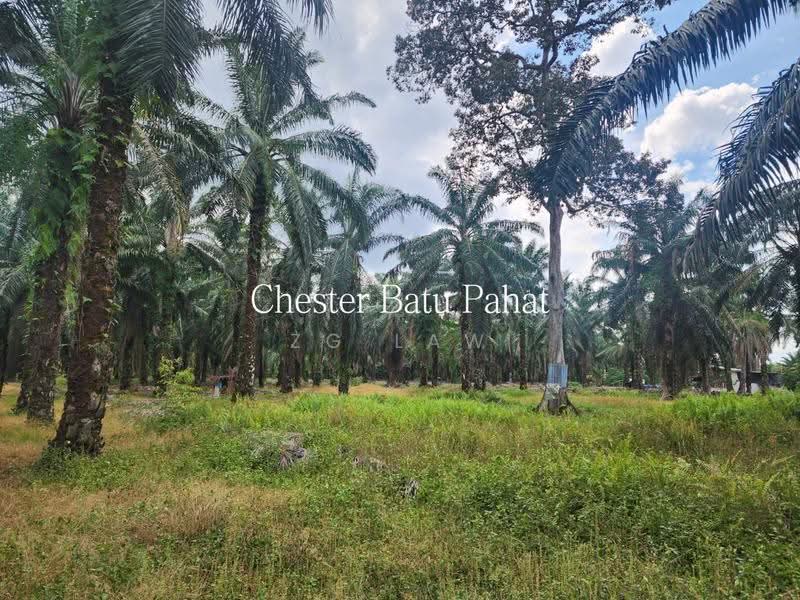 Tanah Pertanian untuk Dijual di Kampung Bindu (Batu Pahat) - ZG Law - Exterior - PropertyGuru.com.my