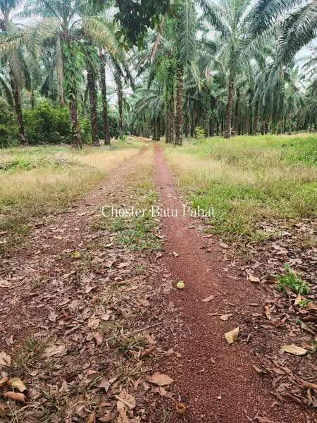 Tanah Pertanian untuk Dijual di Kampung Bindu (Batu Pahat) - ZG Law - Exterior - PropertyGuru.com.my