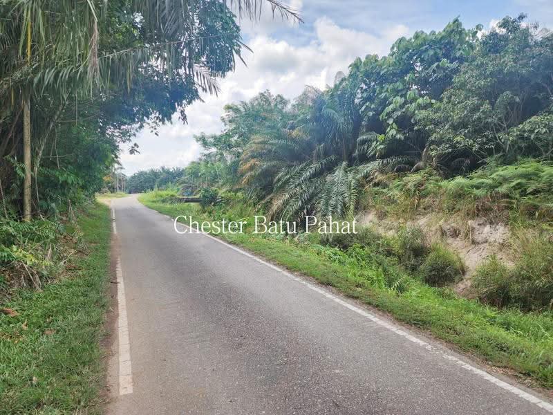 Tanah Pertanian untuk Dijual di Kampung Bindu (Batu Pahat) - ZG Law - Exterior - PropertyGuru.com.my